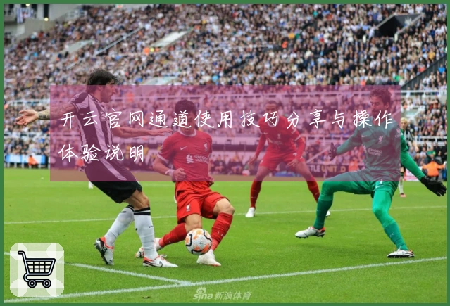 开云官网通道使用技巧分享与操作体验说明