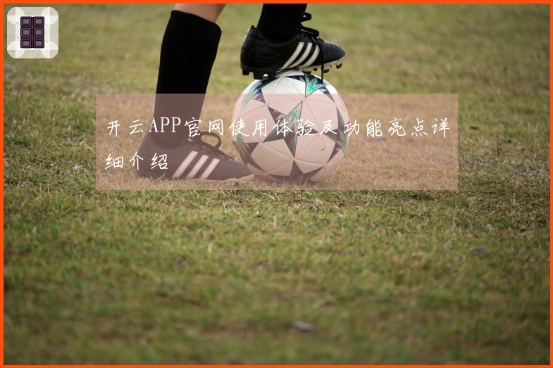 开云APP官网使用体验及功能亮点详细介绍
