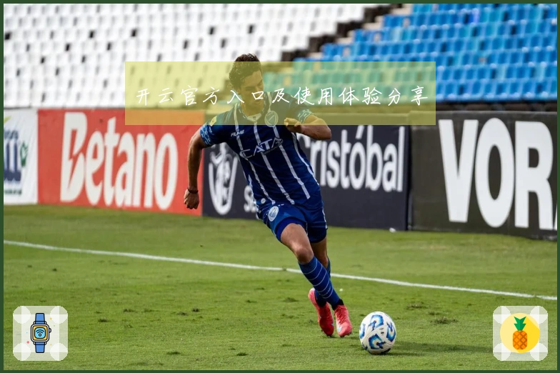 开云官方入口及使用体验分享
