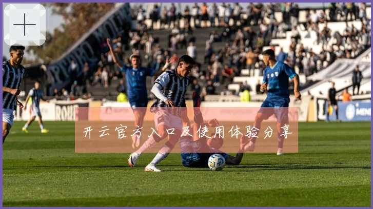 开云官方入口及使用体验分享